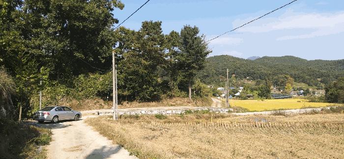 충청북도 충주시 노은면 법동리 413-1 주택 경매 사진 48