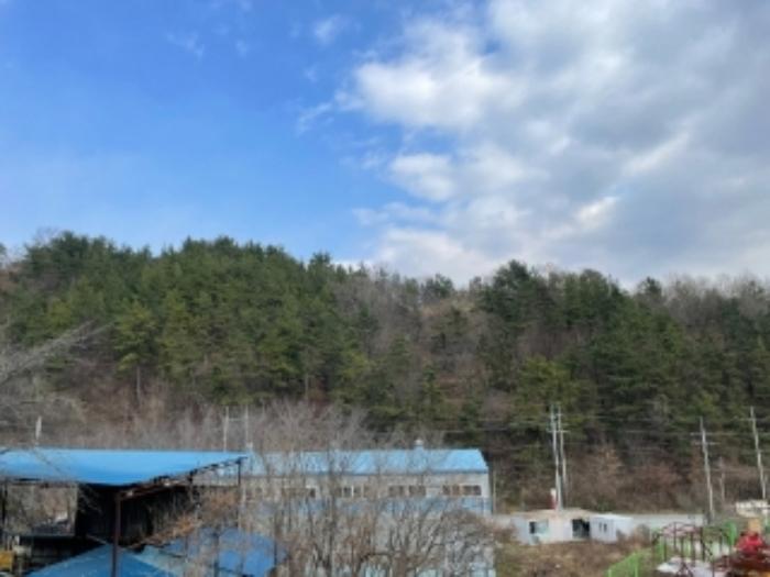 경상남도 사천시 축동면 구호리 358 전 경매 사진 10