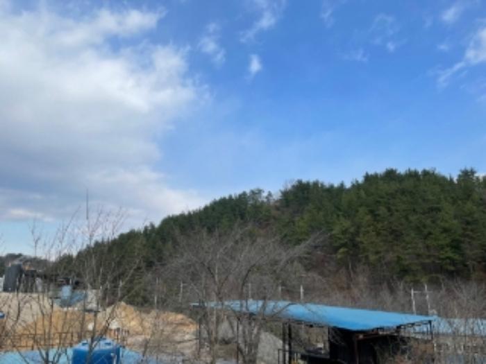 경상남도 사천시 축동면 구호리 358 전 경매 사진 9
