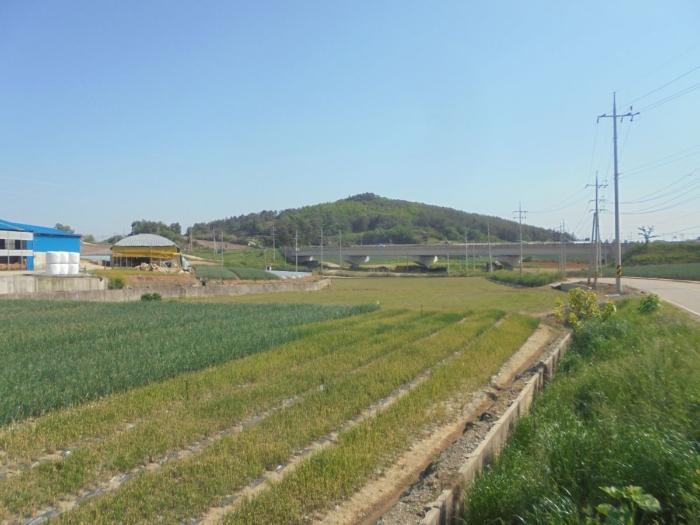 전라남도 무안군 일로읍 망월리 343 주택 경매 사진 2