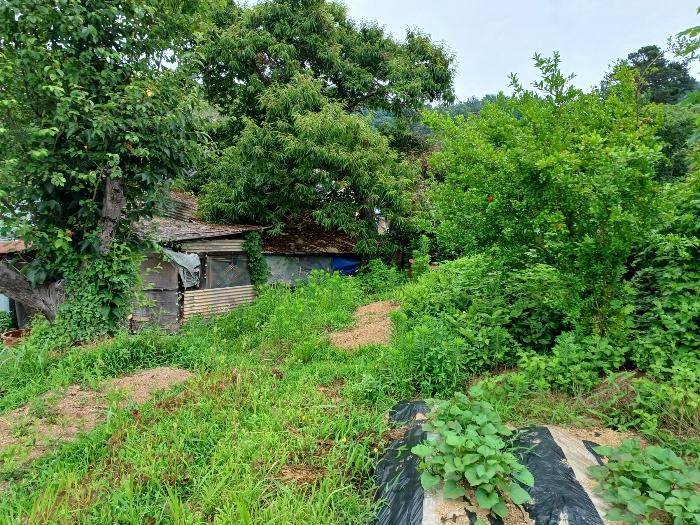 경상남도 진주시 상봉동 347-3 답 경매 사진 11