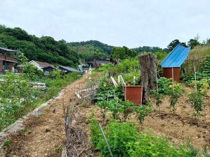 경상남도 진주시 상봉동 347-3 답 경매 사진 16