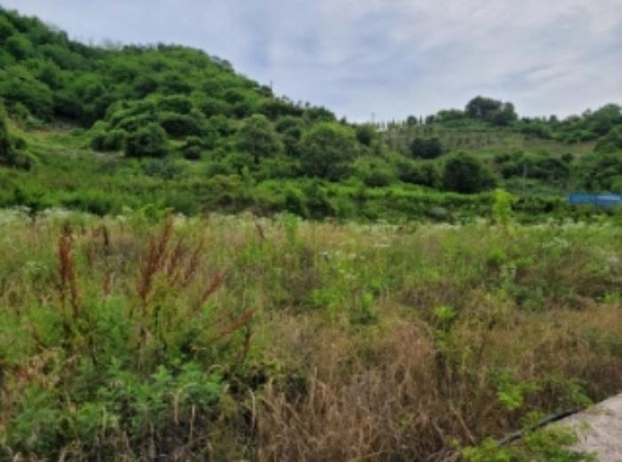 경상남도 진주시 상봉동 347-3 답 경매 사진 17