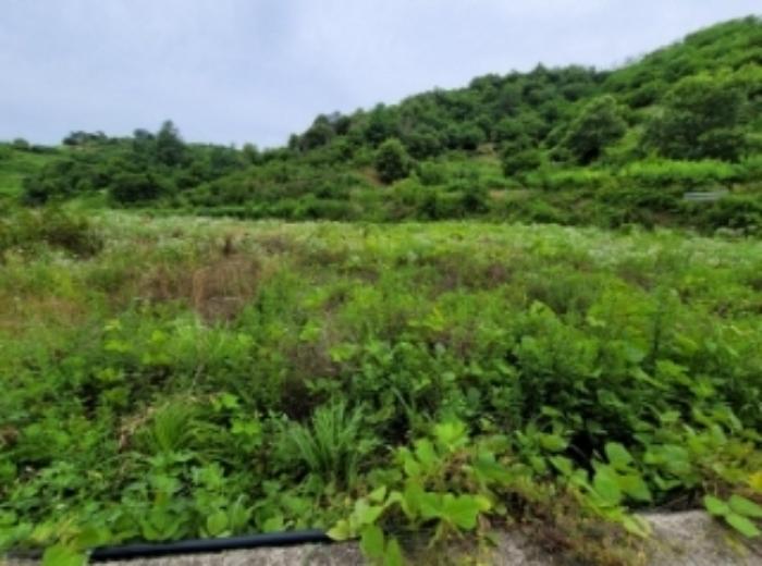 경상남도 진주시 상봉동 347-3 답 경매 사진 18