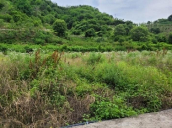 경상남도 진주시 상봉동 347-3 답 경매 사진 20