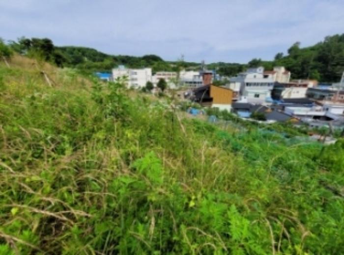 경상남도 진주시 상봉동 347-3 답 경매 사진 22