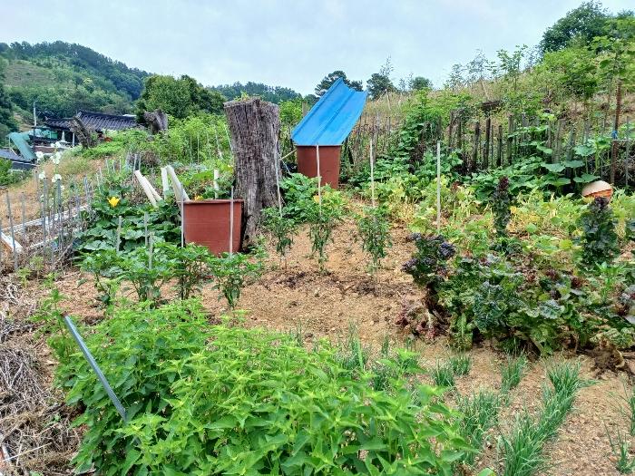 경상남도 진주시 상봉동 347-3 답 경매 사진 3