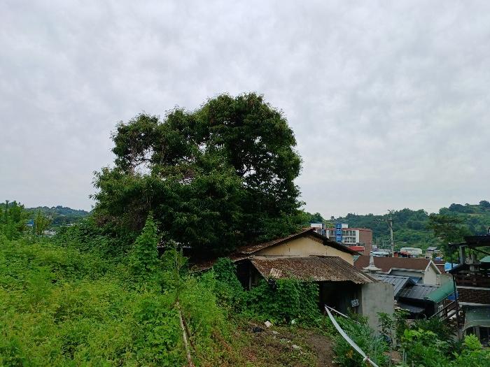 경상남도 진주시 상봉동 347-3 답 경매 사진 7
