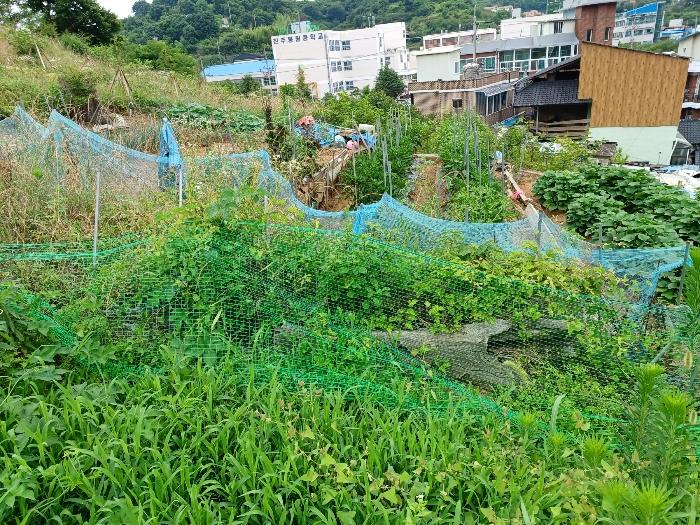 경상남도 진주시 상봉동 347-3 답 경매 사진 8
