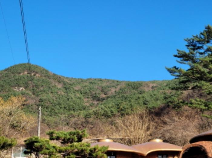 경상남도 산청군 신안면 외송리 산71-7 임야 경매 사진 9