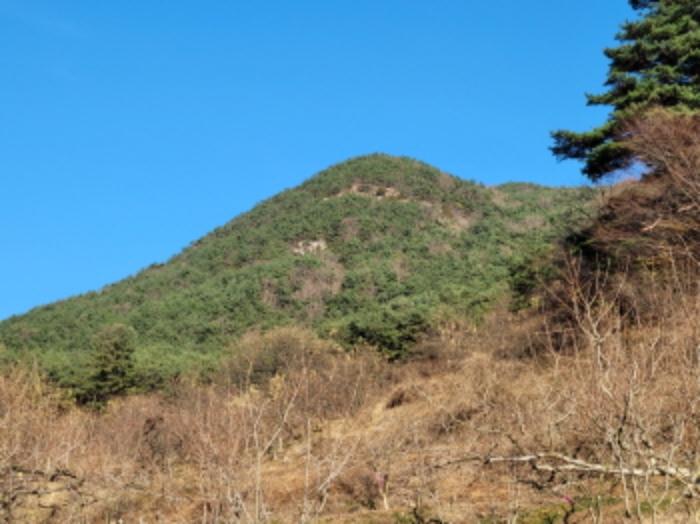 경상남도 산청군 신안면 외송리 산71-7 임야 경매 사진 10