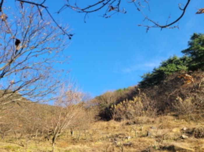경상남도 산청군 신안면 외송리 산71-7 임야 경매 사진 11