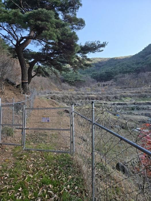 경상남도 산청군 신안면 외송리 산71-7 임야 경매 사진 2