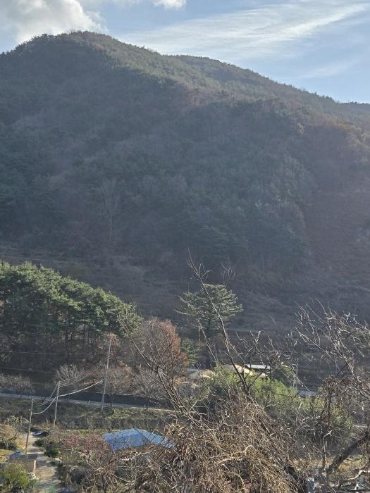경상남도 산청군 신안면 외송리 산71-7 임야 경매 사진 3