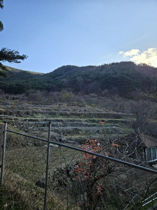 경상남도 산청군 신안면 외송리 산71-7 임야 경매 사진 6