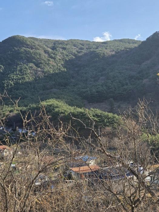 경상남도 산청군 신안면 외송리 산71-7 임야 경매 사진 7