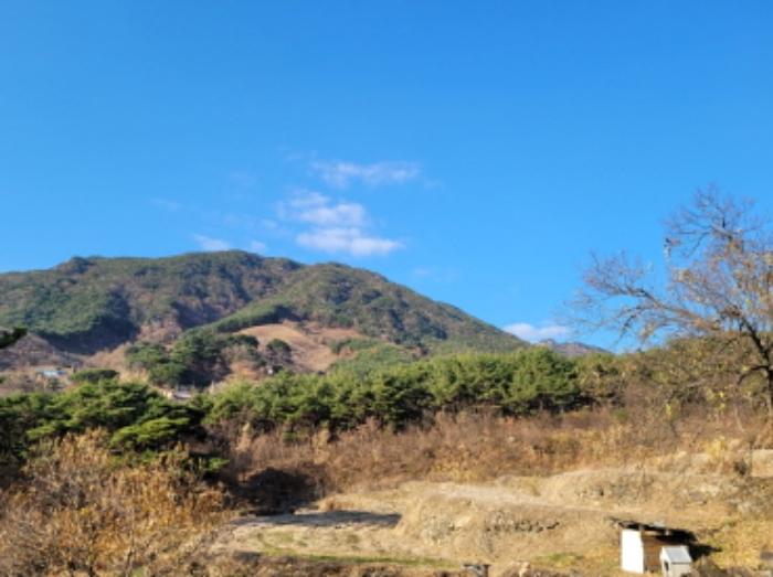 경상남도 산청군 신안면 외송리 산71-7 임야 경매 사진 8