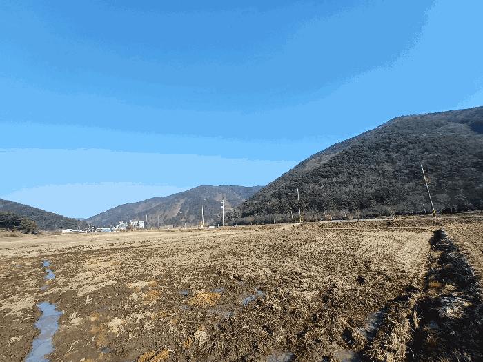 경상남도 사천시 사남면 종천리 541 답 경매 사진 2
