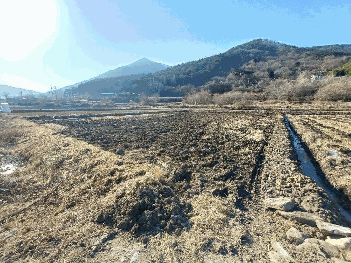 경상남도 사천시 사남면 종천리 541 답 경매 사진 3
