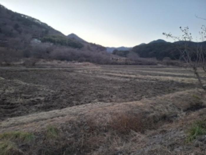 경상남도 사천시 사남면 종천리 541 답 경매 사진 5