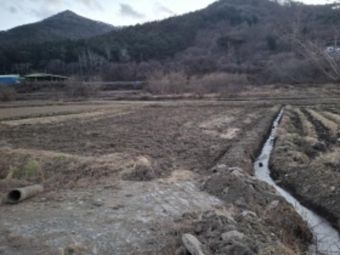 경상남도 사천시 사남면 종천리 541 답 경매 사진 6