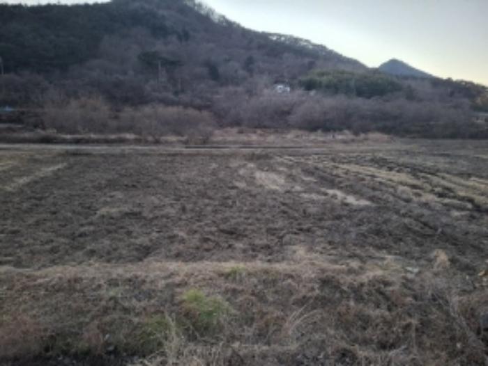 경상남도 사천시 사남면 종천리 541 답 경매 사진 7