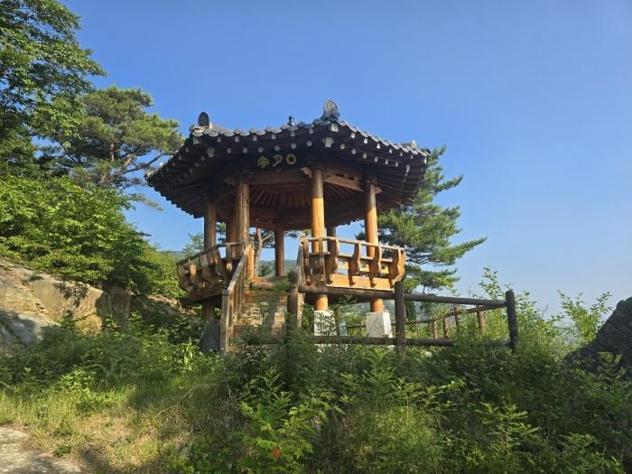 경상남도 산청군 신등면 양전리 산63 임야 경매 사진 22