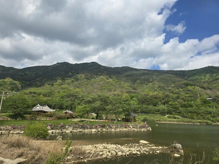경상남도 산청군 신등면 양전리 산63 임야 경매 사진 28