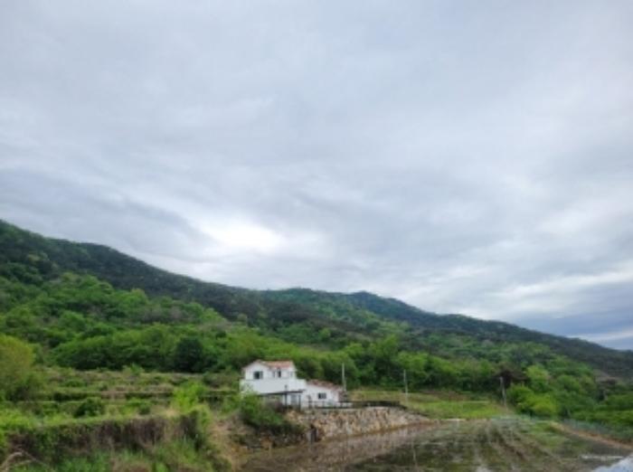 경상남도 산청군 신등면 양전리 산63 임야 경매 사진 35
