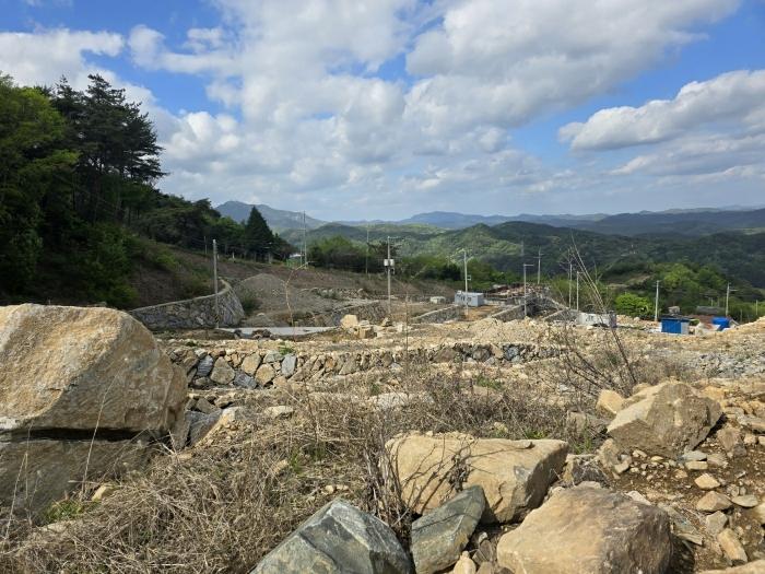 경상남도 산청군 신등면 양전리 산63 임야 경매 사진 5