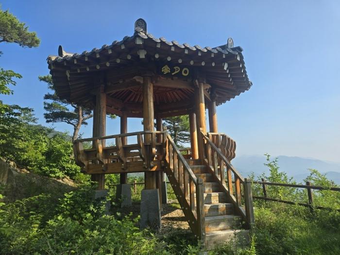 경상남도 산청군 신등면 양전리 산63 임야 경매 사진 8