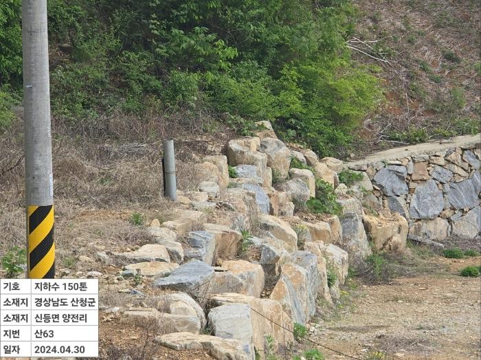 경상남도 산청군 신등면 양전리 산63 임야 경매 사진 9
