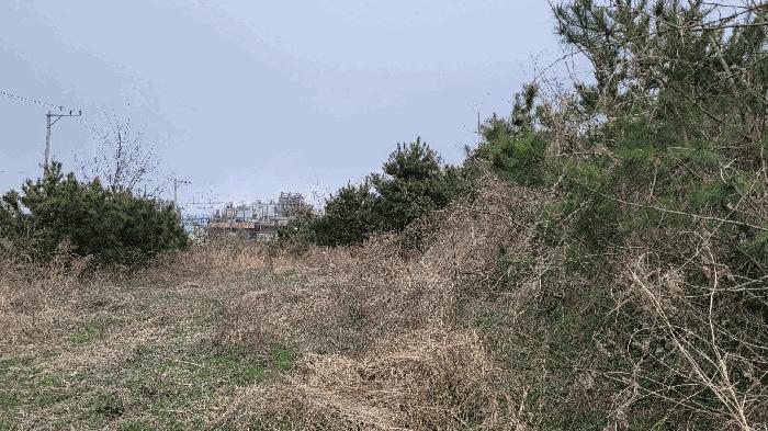 전북특별자치도 전주시 덕진구 만성동 39-3 상가 경매 사진 2