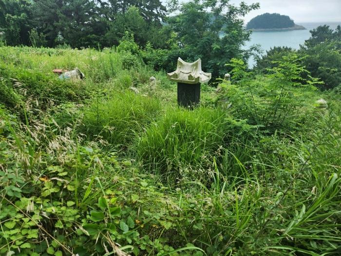 경상남도 남해군 남면 선구리 1339-37 전 경매 사진 3