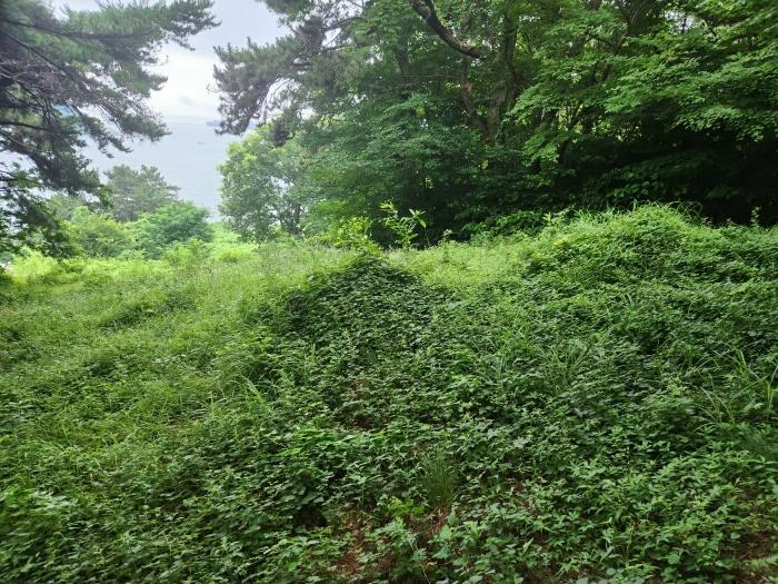 경상남도 남해군 남면 선구리 1339-37 전 경매 사진 4