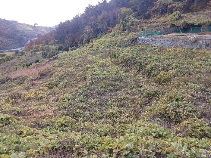 경상남도 남해군 남면 임포리 1139 전 경매 사진 2