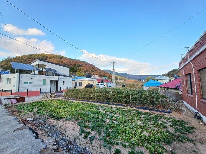 경상남도 남해군 남면 임포리 1139 전 경매 사진 8