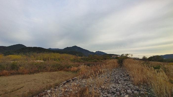 경상남도 사천시 용현면 덕곡리 535-11 답 경매 사진 2