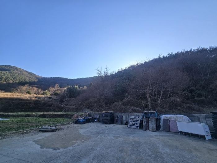 경상남도 남해군 서면 서상리 336 전 경매 사진 1