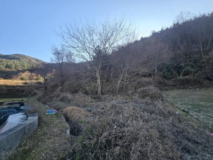 경상남도 남해군 서면 서상리 336 전 경매 사진 2