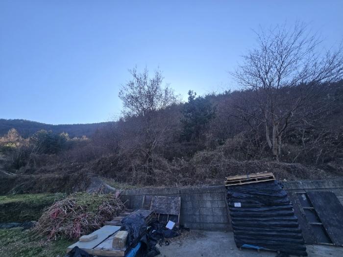 경상남도 남해군 서면 서상리 336 전 경매 사진 3