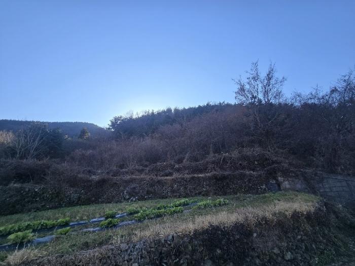 경상남도 남해군 서면 서상리 336 전 경매 사진 4