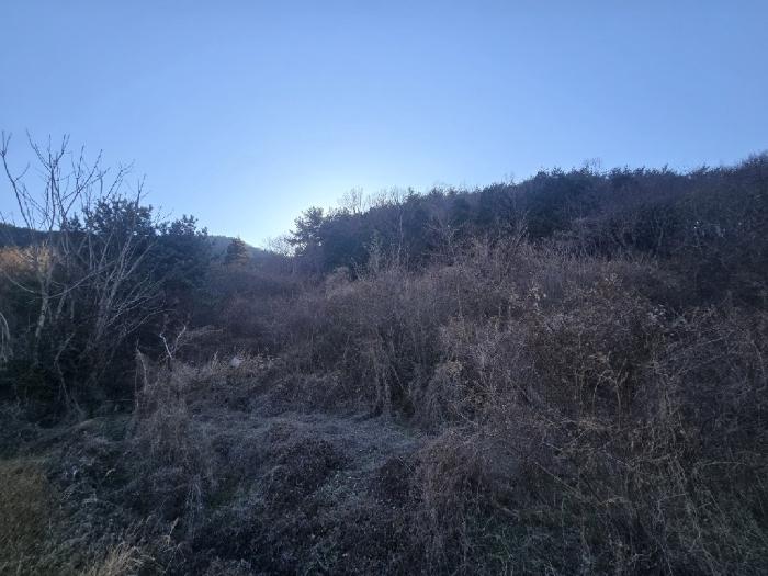 경상남도 남해군 서면 서상리 336 전 경매 사진 5