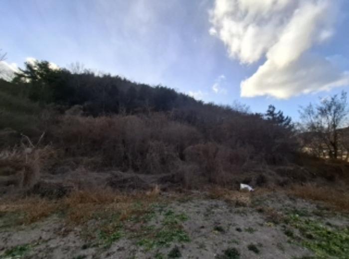 경상남도 남해군 서면 서상리 336 전 경매 사진 7