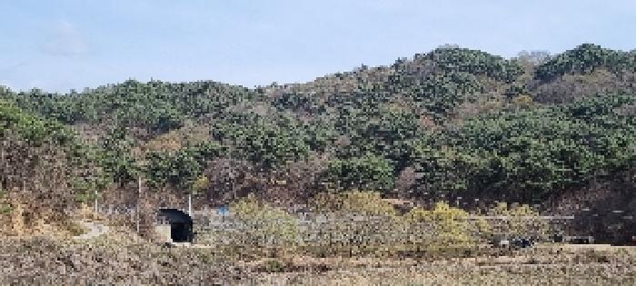 전북특별자치도 남원시 송동면 장국리 산131 임야 경매 사진 3