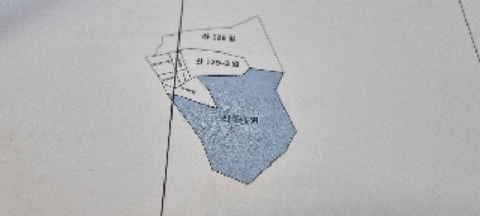 전북특별자치도 남원시 송동면 장국리 산131 임야 경매 사진 7