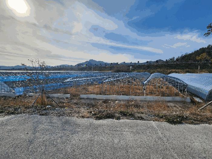 전라남도 장흥군 부산면 유량리 220-11 기타토지 경매 사진 2