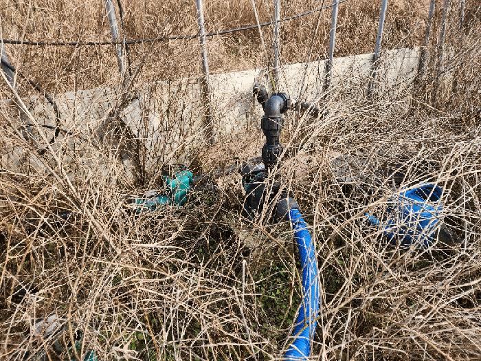 전라남도 장흥군 부산면 유량리 220-11 기타토지 경매 사진 4