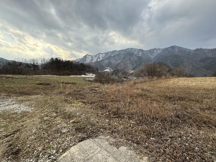 전북특별자치도 장수군 천천면 용광리 106 전 경매 사진 2