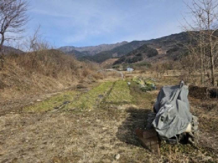 전라남도 구례군 산동면 원달리 289 답 경매 사진 3